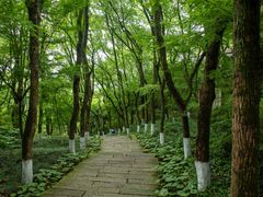 -宁波市保国寺古建筑博物馆