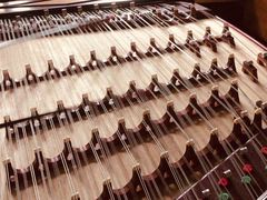 -音歆国艺馆·民乐培训(双榆树店)