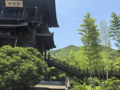 -大唐贡茶院