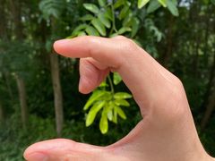 -都江堰玫瑰花溪谷