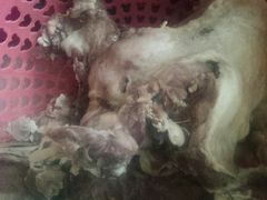 -福缘羊肉馆·手工水饺(双沟店)