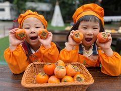 -金豆子幼稚园