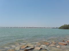 -宝安西湾红树林湿地公园