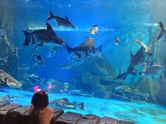 -多彩贵州城极地海洋世界