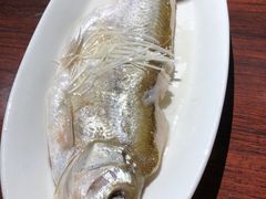 -YOYO悠游美食地图(西市城购物中心店)