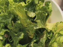 -燚青春东北泥炉烤肉(百合店)