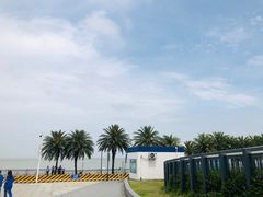 -野狸岛