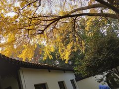 -上海醉白池公园