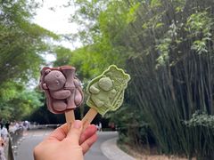 -成都大熊猫繁育研究基地
