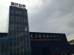 iphone_upload_pic-東田造型
