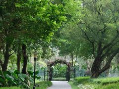 -东莞植物园