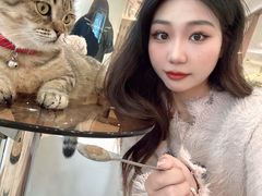 -共舞时光猫咖·狗咖(新街口店)