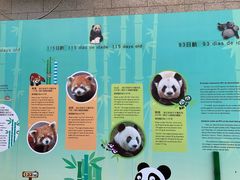 -石排湾郊野公园