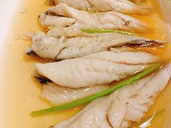 糟溜黄鱼肚-金八仙酒店