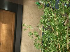 -新紫霞养生·影院足道·SPA(金山区店)