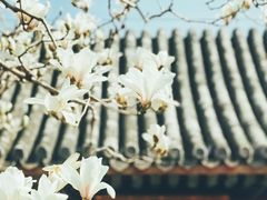 -颐和园