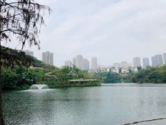 -重庆彩云湖湿地公园
