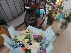 -ChaKo Flora ·茶子花艺 (市北店)