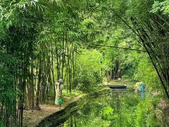 -望江楼公园