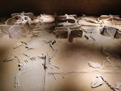 -洛阳周王城天子驾六博物馆