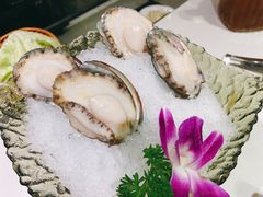 大连鲜鲍-沄记顺德菜打边炉(东直门店)