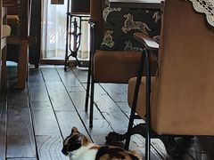 -BUND·FIVE外滩5号(天际店)