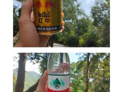 -梧桐山风景名胜区