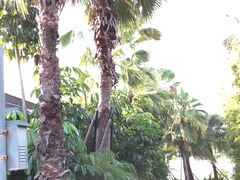 -蓝楹湾度假酒店