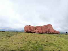 -龙里油画大草原旅游区
