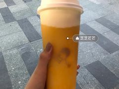 芒果果肉-喜茶(上海打浦桥日月光gelato lab+店)