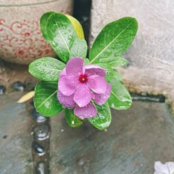 门面-匿名者纹身学院派·刺青
