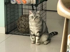 -平行世界·猫咖(首经贸店)