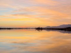 -野鸭湖国家湿地公园