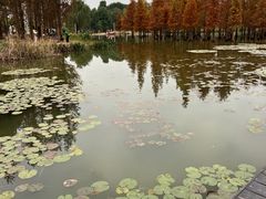 -白鹭湾湿地公园