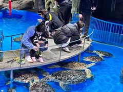 -泉城欧乐堡海洋极地世界