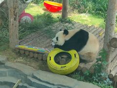 -大连森林动物园