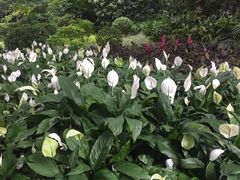 -晓港公园