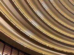 -新加坡文华东方酒店