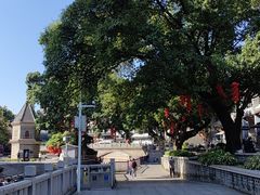 -侨美·唐荔园·40年地道粤菜