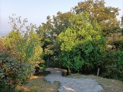 -北京鹫峰国家森林公园