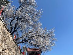 -圣莲山风景区