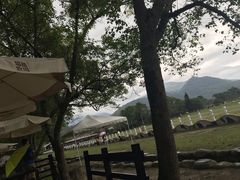 -瑞穗牧场