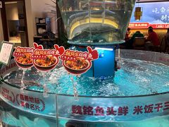 -魏铭鱼头捞饭(晋阳路店)