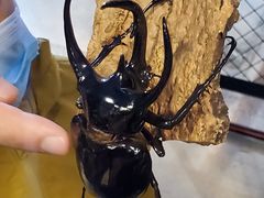 -燕莎友谊商城(亮马桥店)