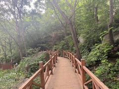 -大岭沟猕猴桃谷风景区