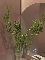 -Hi Beauty Skin 科技美肤中心