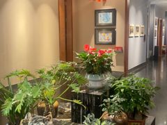 -黔蘑菇四季餐厅(观山湖店)