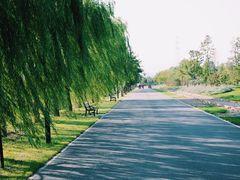 -永定河休闲森林公园