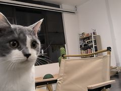 -德克士(步行街店)