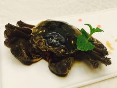 -新光酒家·河豚·海鲜·蟹料理(浦东店)